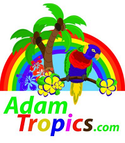 Adam Tropics