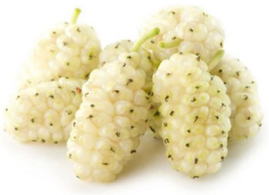 white-mulberry-banner